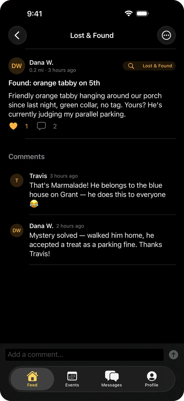 A lost-and-found post about an orange tabby cat, with replies from neighbors.
